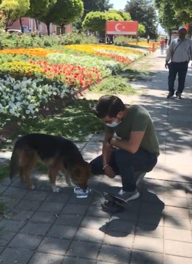 Polisin, sokak köpeğine su vermesi sosyal medyada beğeni topladı