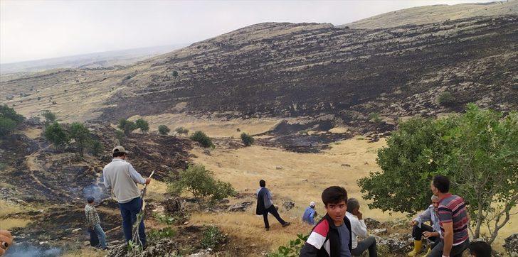 Batman'da yıldırım nedeniyle çıkan yangında 500 dönüm ekili alan zarar gördü G1