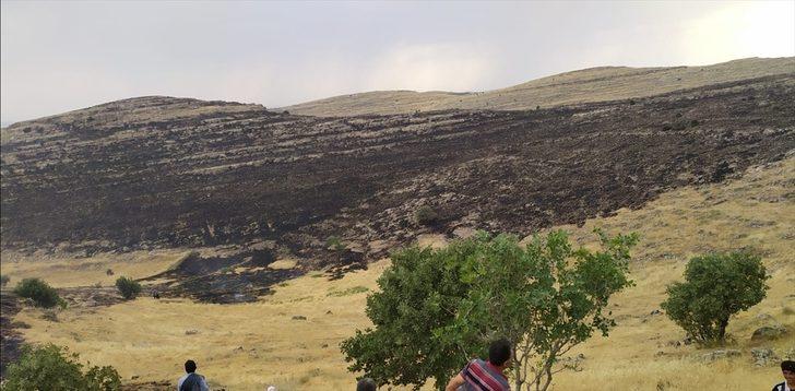 Batman'da yıldırım nedeniyle çıkan yangında 500 dönüm ekili alan zarar gördü G2