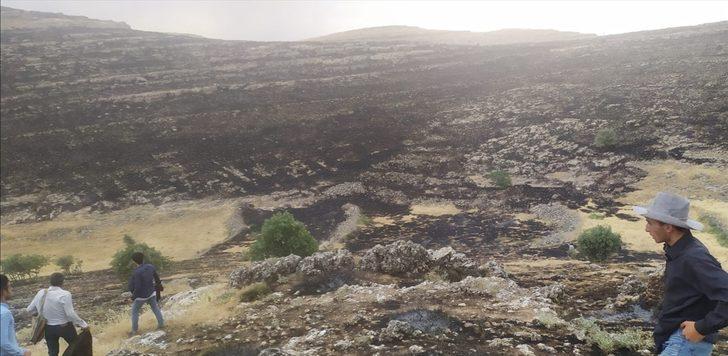 Batman'da yıldırım nedeniyle çıkan yangında 500 dönüm ekili alan zarar gördü G3