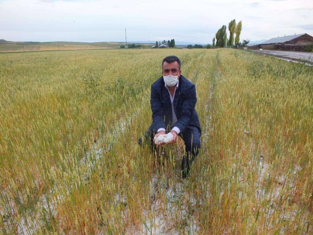 Sel felaketinde 50 hayvan telef oldu