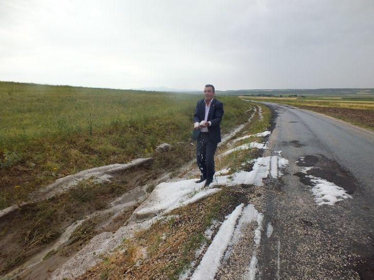 Sel felaketinde 50 hayvan telef oldu G2