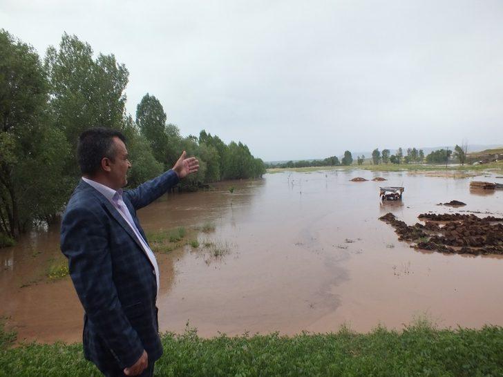 Sel felaketinde 50 hayvan telef oldu G3