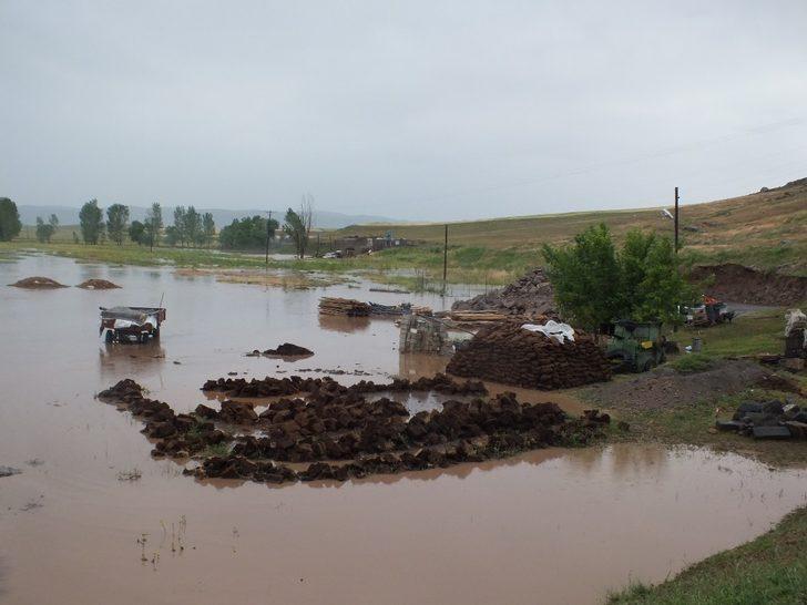 Sel felaketinde 50 hayvan telef oldu G4