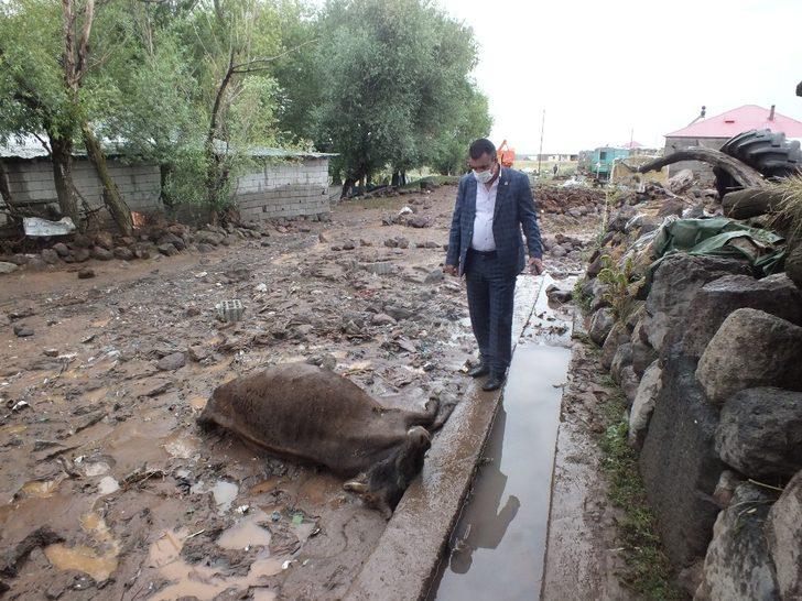 Sel felaketinde 50 hayvan telef oldu G5