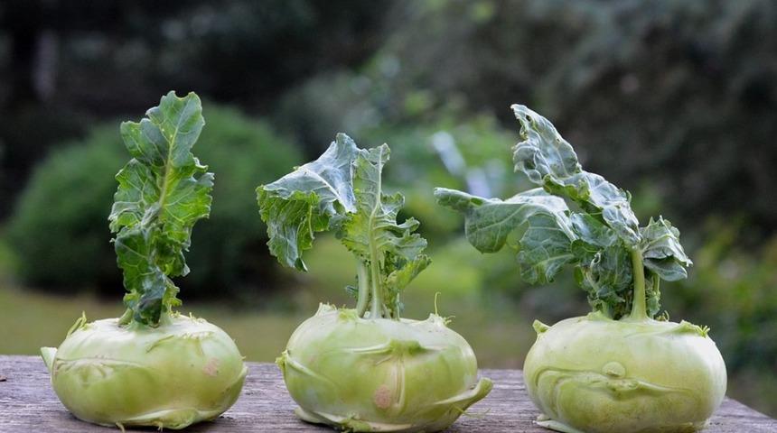 &Ccedil;ok enerji, az kalori: Alabaş &ccedil;orbası tarifi