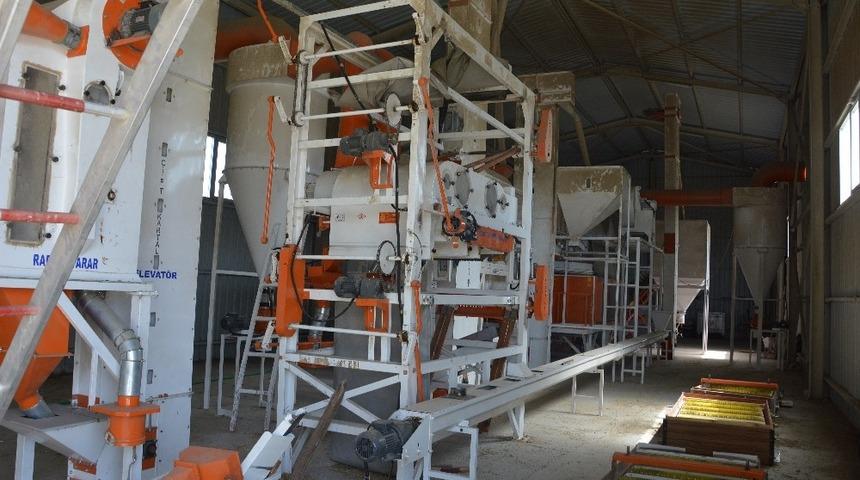 Akyurt’ta tohum eleme tesisi sezona hazır