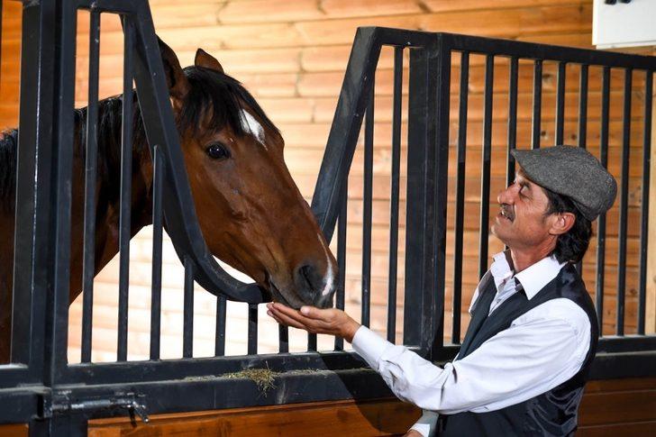 Altınköy’e at çiftliği G2