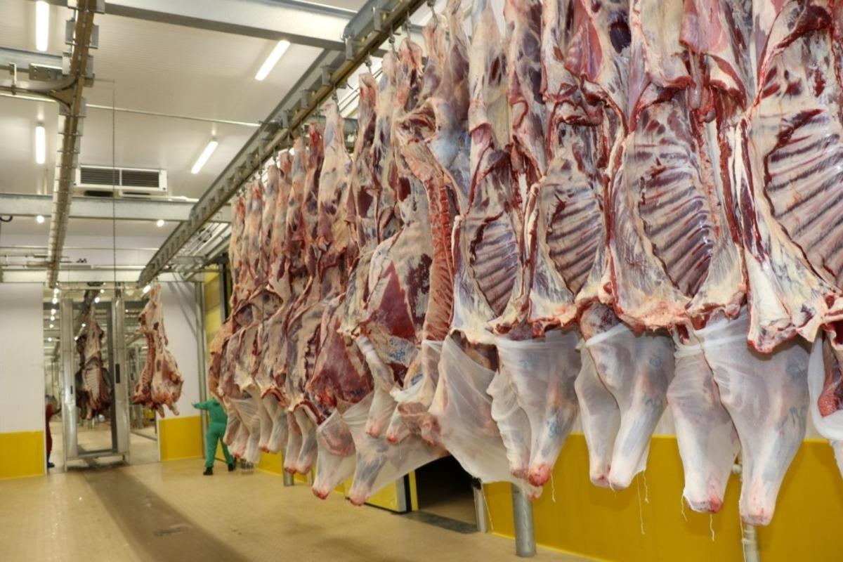 Kocaeli mezbahanelerinde 633 ton et kesildi