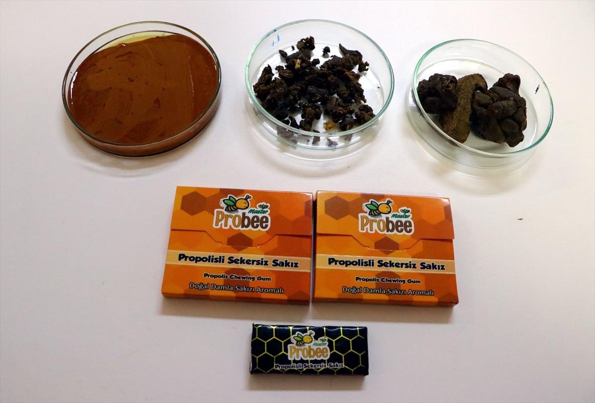 Tekirdağ'da "propolisli sakız" &uuml;retildi