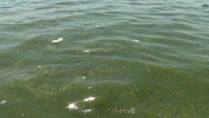 Koranavirüs sürecinde uzmanlardan kirli deniz ve havuz uyarısı