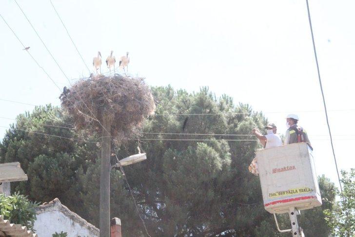 Doğa sevenler sakatlanan leylek yavrusu için seferber oldu G3