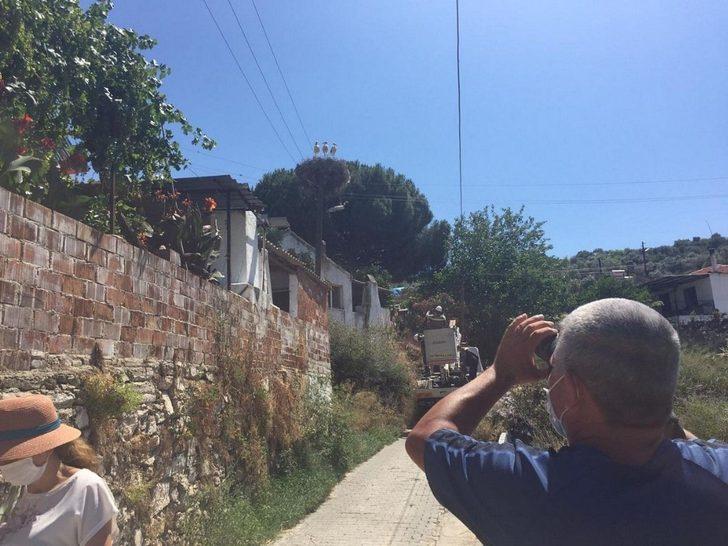 Doğa sevenler sakatlanan leylek yavrusu için seferber oldu G4