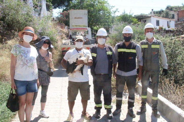 Doğa sevenler sakatlanan leylek yavrusu için seferber oldu G5