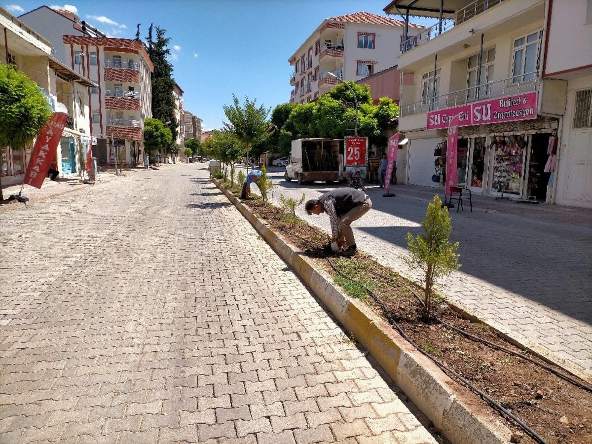 G&ouml;lbaşı Belediyesi ağa&ccedil;landırma &ccedil;alışmalarına başladı