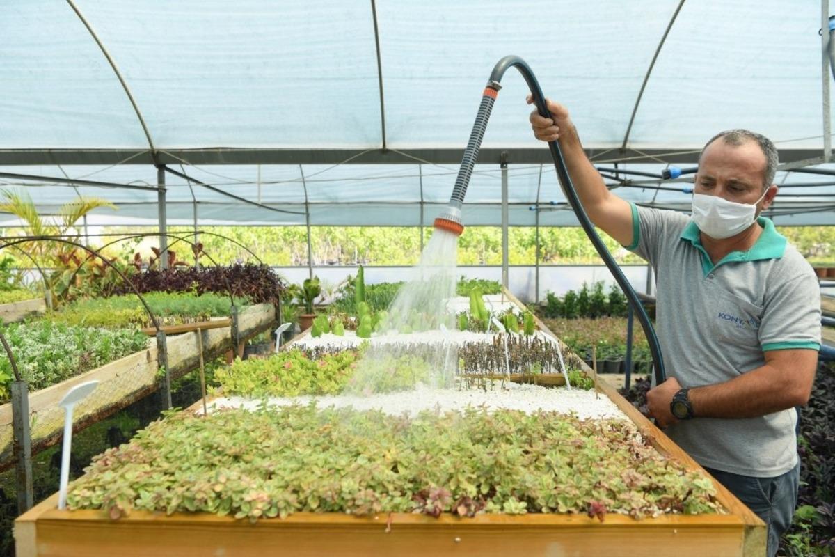 Konyaaltı Belediyesi 6 ayda 110 bin bitki &uuml;retti