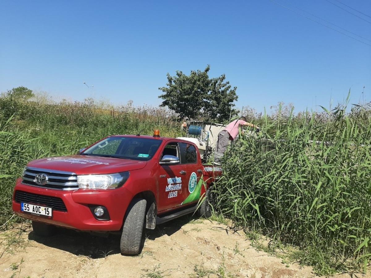 Şehrin her noktası ila&ccedil;lanıyor