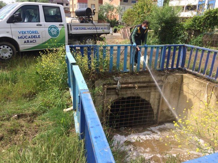 Şehrin her noktası ilaçlanıyor G4