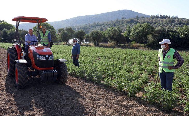 Ata tohumları filizlendi G1