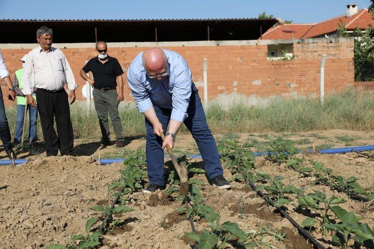 Ata tohumları filizlendi G2