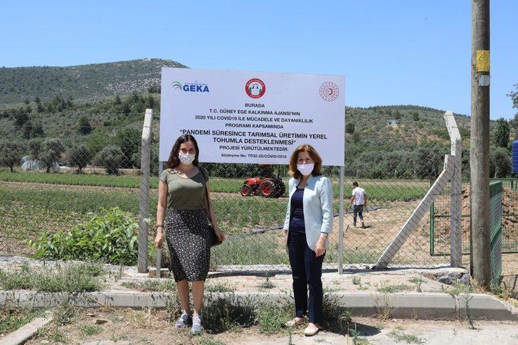 Ata tohumları filizlendi G3