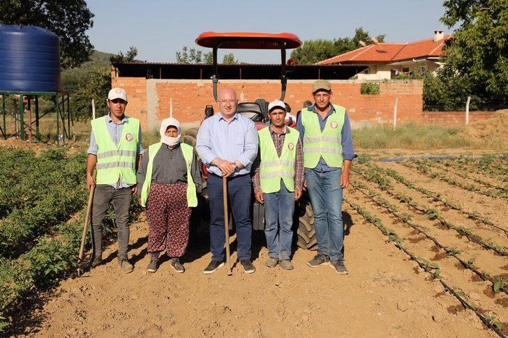 Ata tohumları filizlendi G5