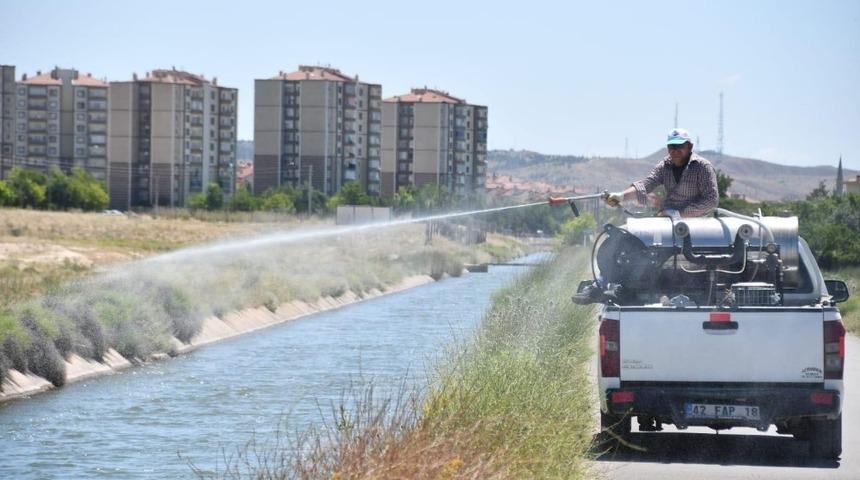 Aksaray Belediyesi larva ve haşerelere karşı ilaçlama yapıyor