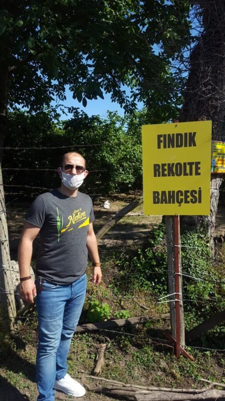 Fındıkta rekolte çalışmaları G3