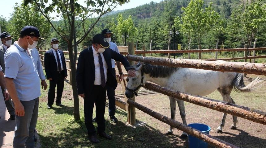 Rekt&ouml;r Şenocak&rsquo;tan Mahmudiye Hippoterapi Uygulama ve Araştırma Merkezine ziyaret