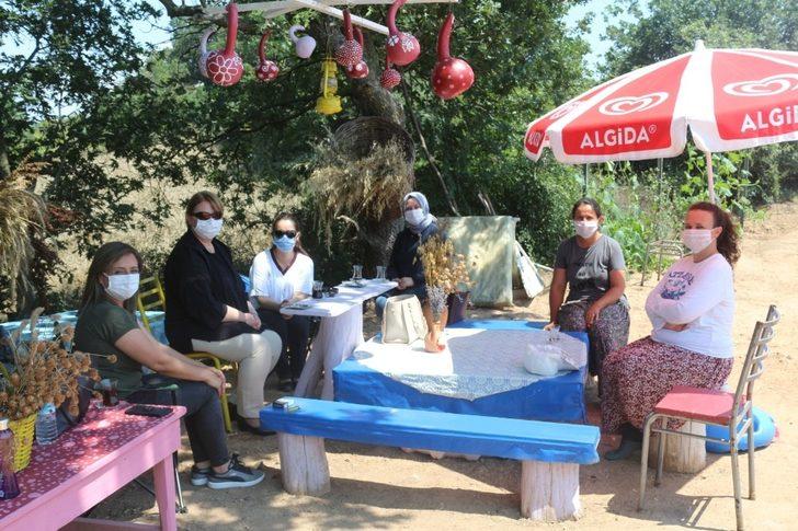 Lavanta üretimini arttırma çalışmaları G3