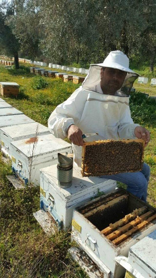 Arıcılar, aşırı sıcaklara karşı uyarıldı