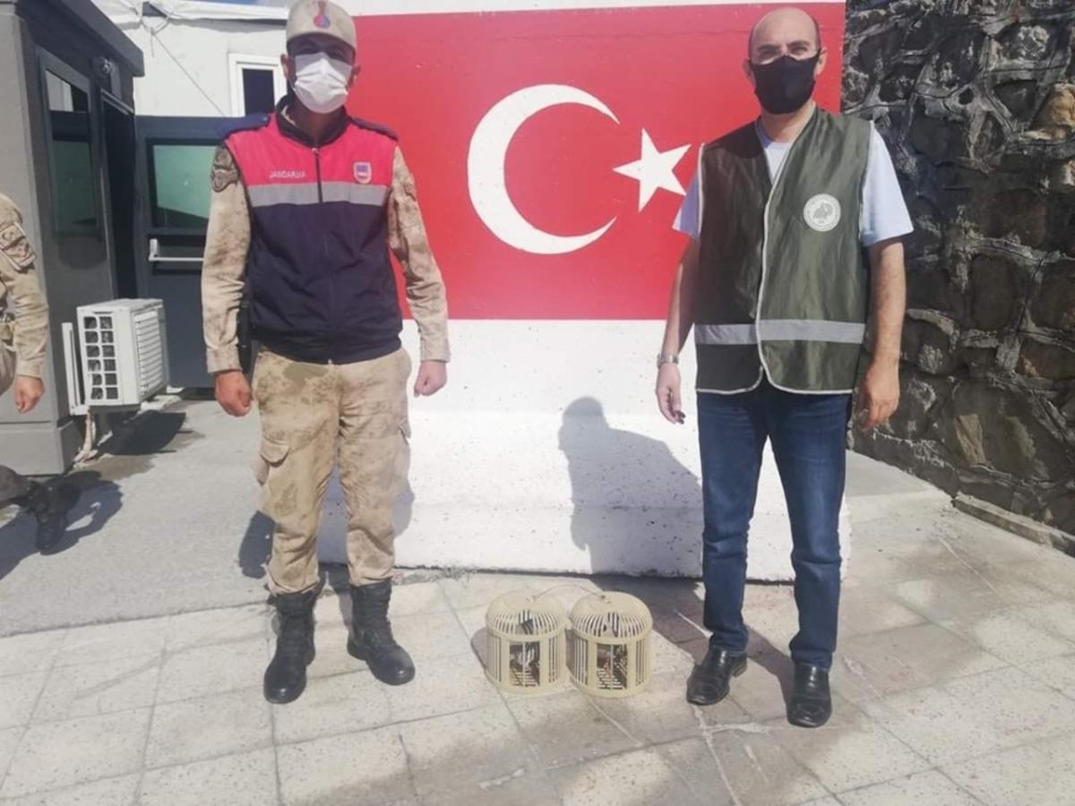 Van&rsquo;da kafes avcılarına ceza