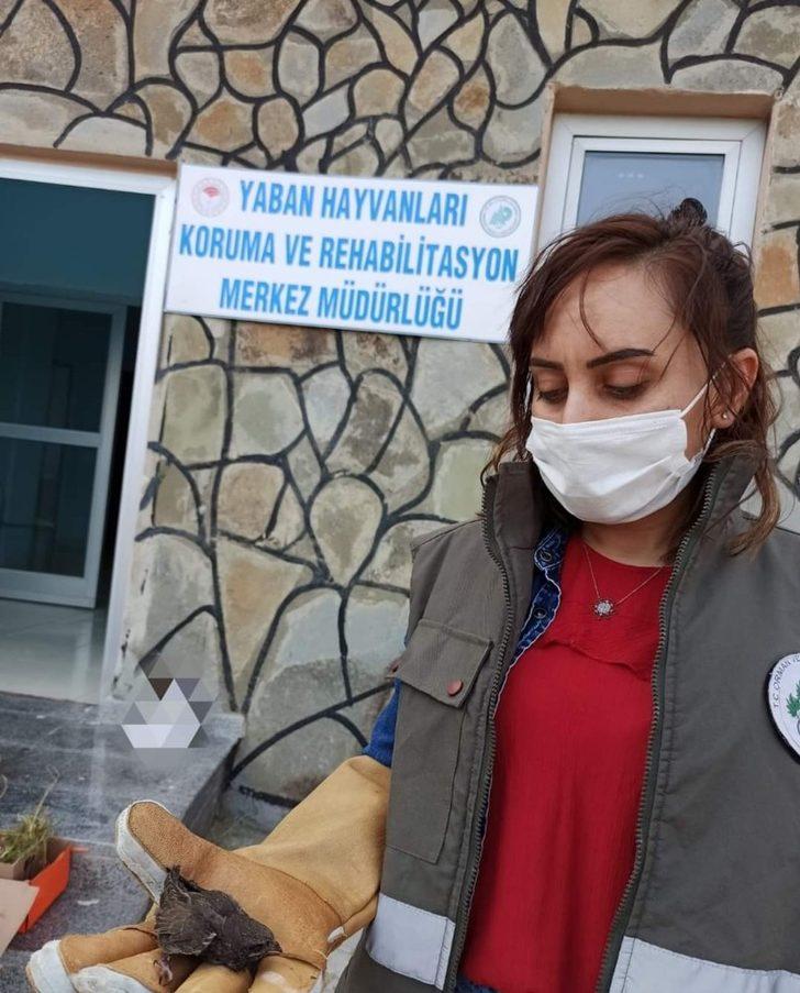 Yaralı kuşlar tedavi altına alındı G4