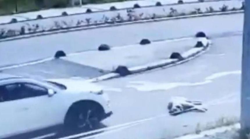 Birsen Ocaklı kimdir? Köpeği ezip kaçmıştı!