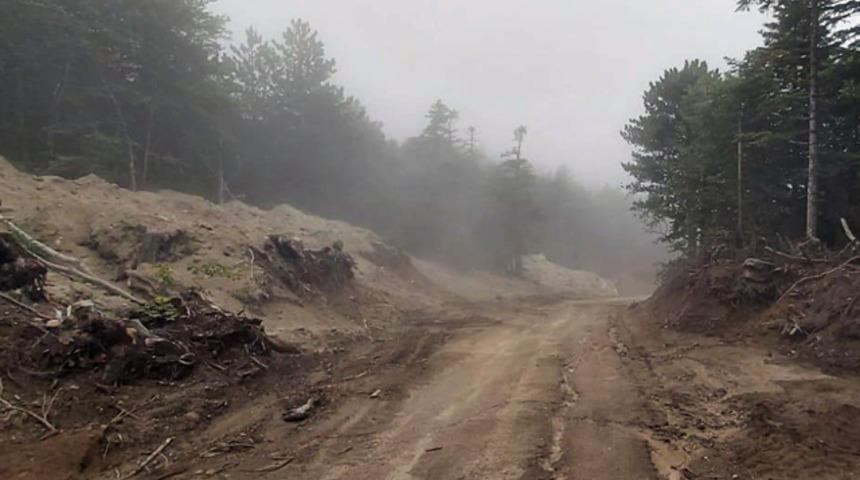 Uludağ'da 1500'e yakın ağaç kesildi! Doğaseverlerden tepki