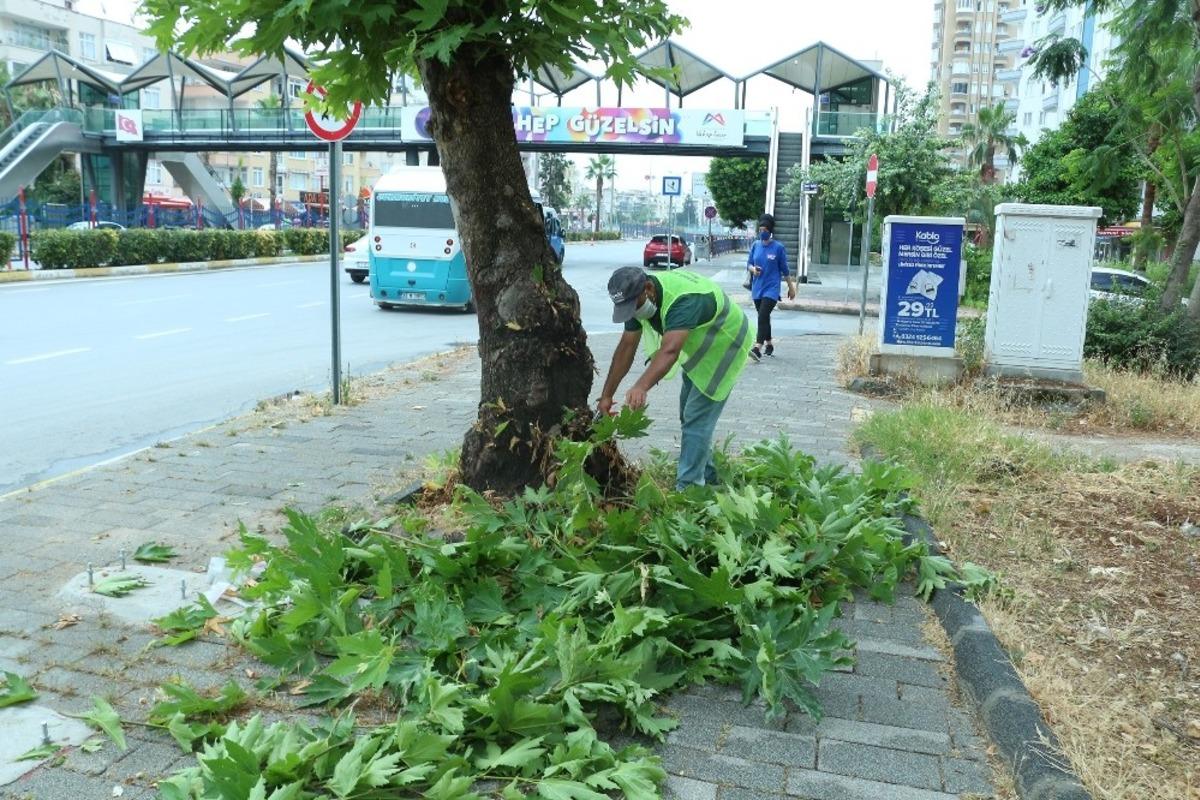 B&uuml;y&uuml;kşehir Belediyesi, kenti daha da g&uuml;zelleştirmek i&ccedil;in yeni ekipler kurdu