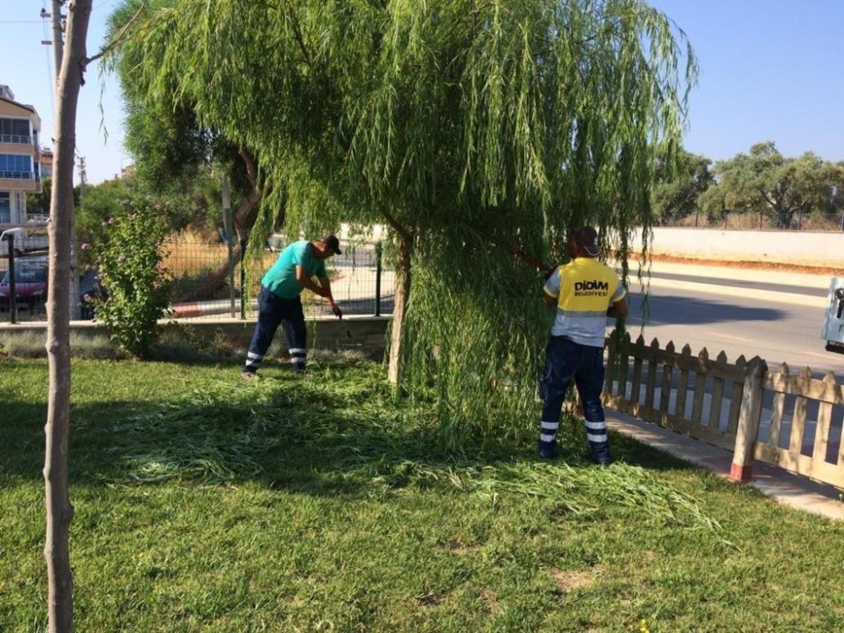 Didim Belediyesi yeşil alanlarda temizliğe devam ediyor