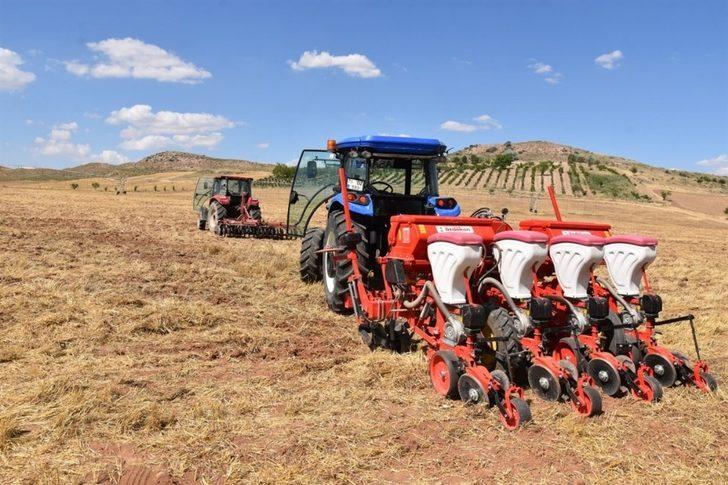 Kırıkkale’de yağlık ayçiçeği ekimi yapıldı G1