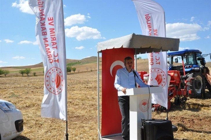 Kırıkkale’de yağlık ayçiçeği ekimi yapıldı G2