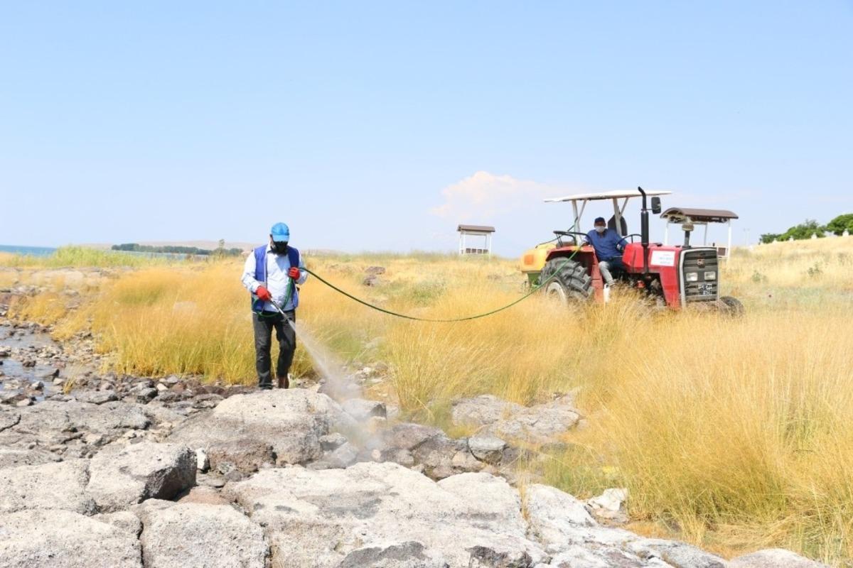 Erciş Belediyesinden vekt&ouml;rle m&uuml;cadele ve ila&ccedil;lama &ccedil;alışması