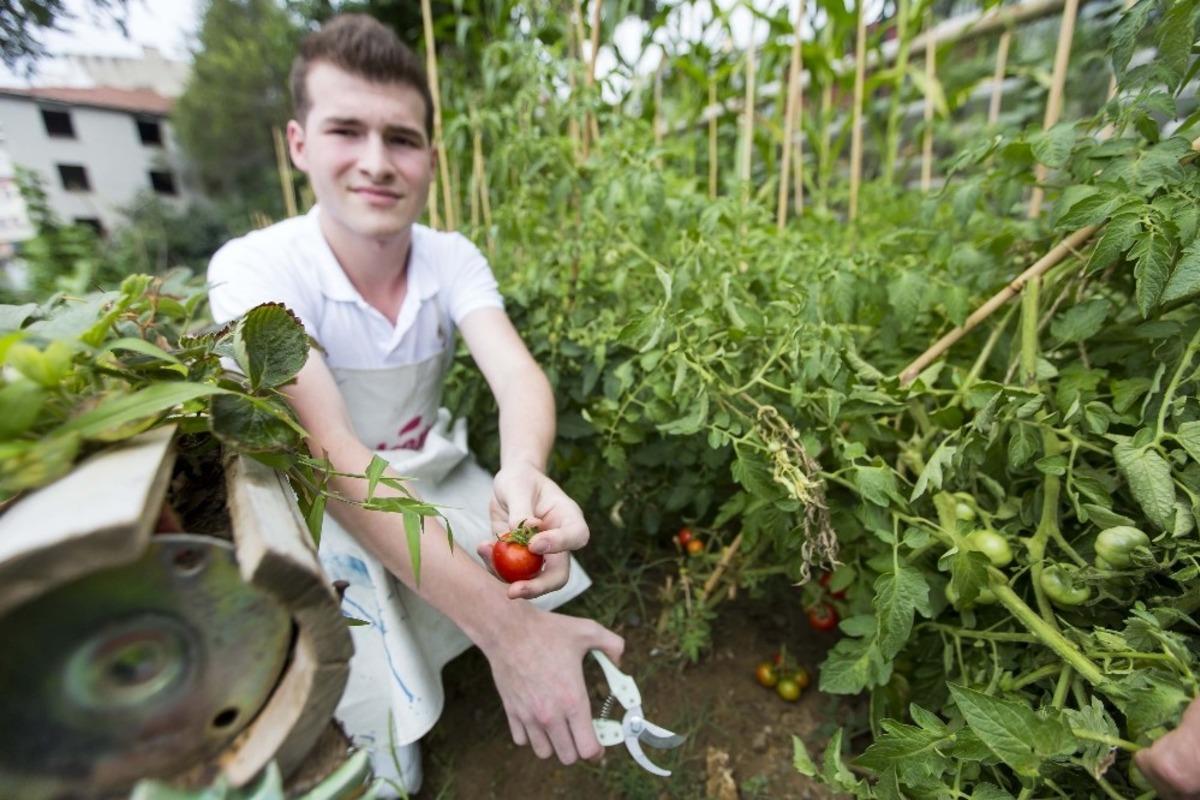 Ey&uuml;psultan Belediyesi, "Doğa ile Tasarım" kursu başlatıyor