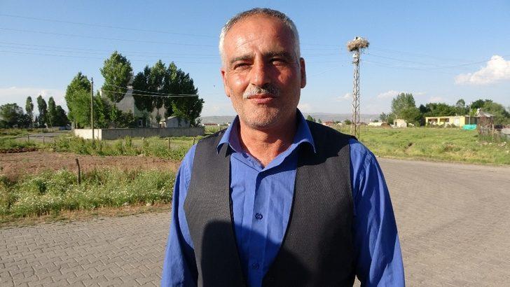 Yavru leylekler göçe hazırlanıyor G4