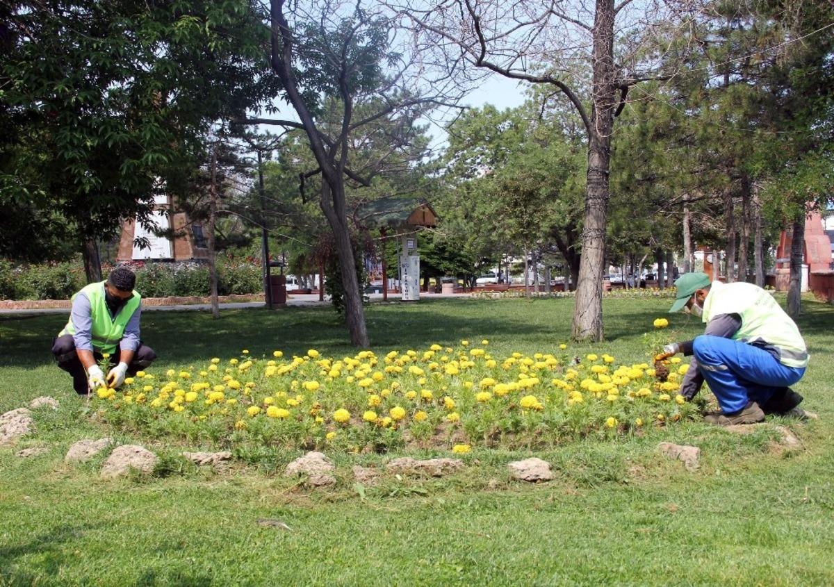 Van B&uuml;y&uuml;kşehir Belediyesinin yetiştirdiği &ccedil;i&ccedil;ekler kenti s&uuml;sl&uuml;yor