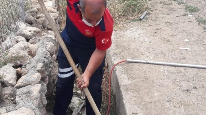 K&ouml;pr&uuml;n&uuml;n i&ccedil;inde mahsur kalan k&ouml;peği itfaiye ekipleri kurtardı