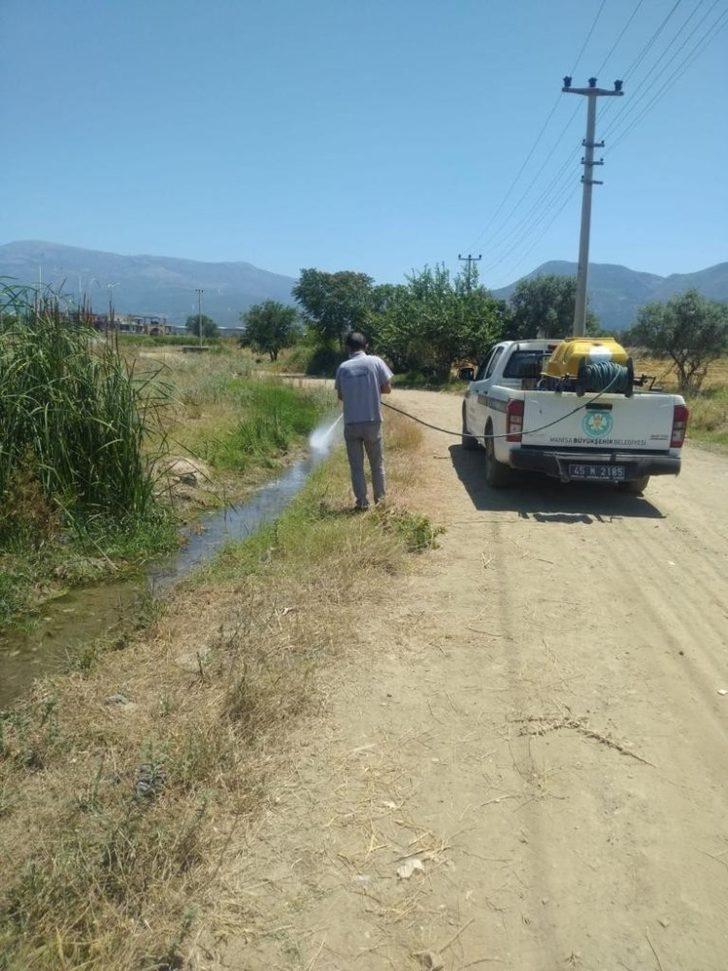 Haşere ile mücadelede devam ediyor G3