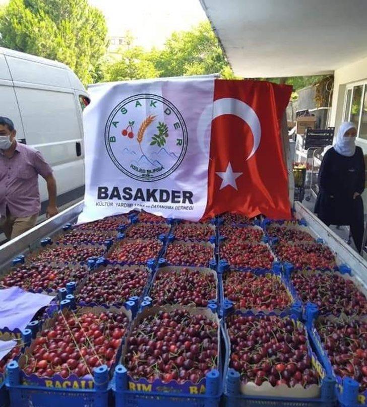 Bursa’da sağlık çalışanları için kiraz topladılar G2