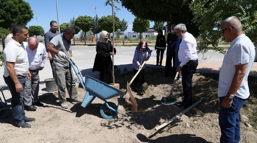 Rekt&ouml;r Şahin, mezuniyet hatırası olarak &ouml;ğrencilerle fidan dikti