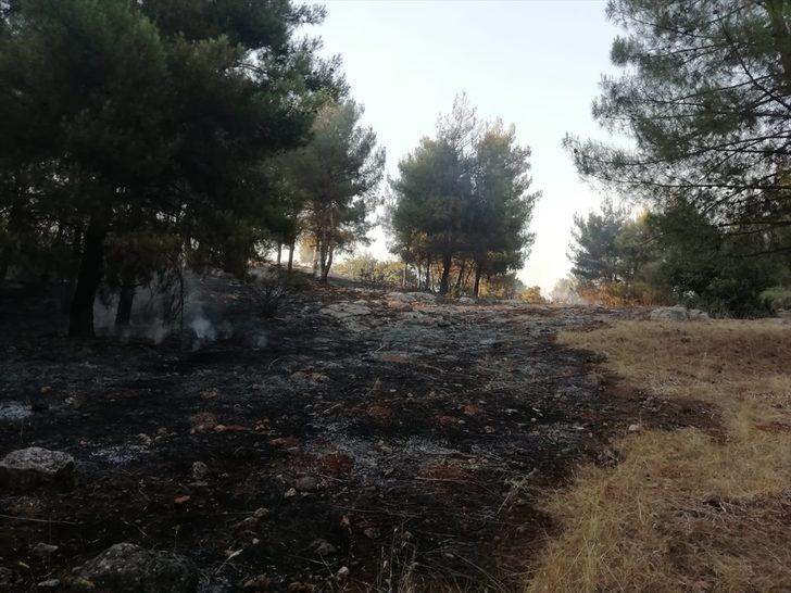 Kahramanmaraş'ta anız yakılması sonucu alevler ormana sıçradı G1