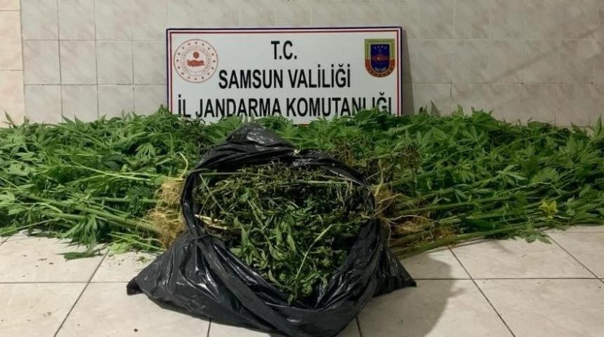 Samsun&rsquo;da kenevir yetiştiren 2 şahıs su&ccedil;&uuml;st&uuml; yakalandı