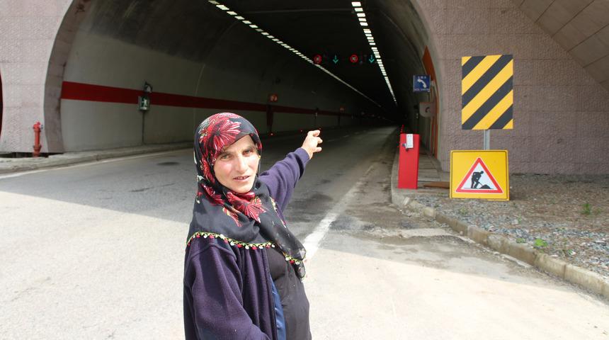 Tünelde otomobilin çarptığı ineğin sahibine 1800 TL ceza